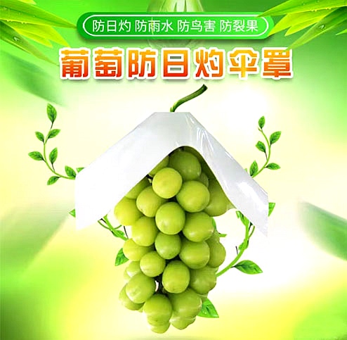 葡萄防日灼傘罩