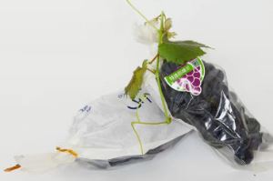 梯形精品葡萄包裝袋