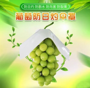 葡萄防日灼傘罩