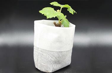 無(wú)紡布育苗袋